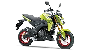 Kawasaki Z125 PRO