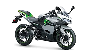 Kawasaki Ninja e-1