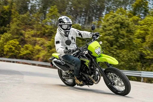 2027 KLX230SM
