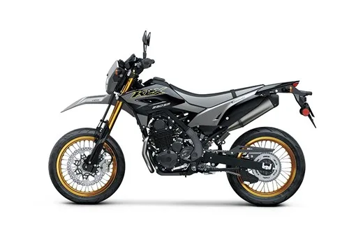 2027 KLX230SM SE