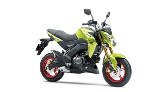 Z125 PRO