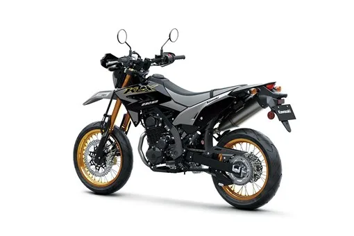 2027 KLX230SM SE